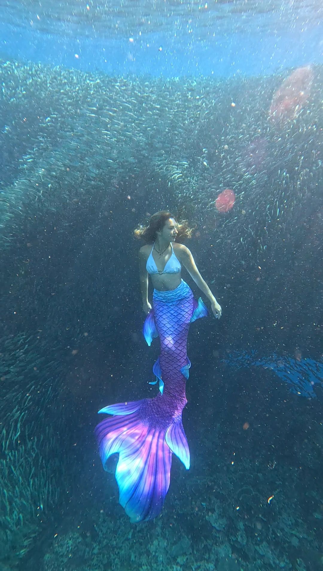 Mermaid course photo